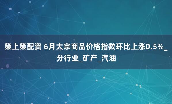 策上策配资 6月大宗商品价格指数环比上涨0.5%_分行业_矿产_汽油