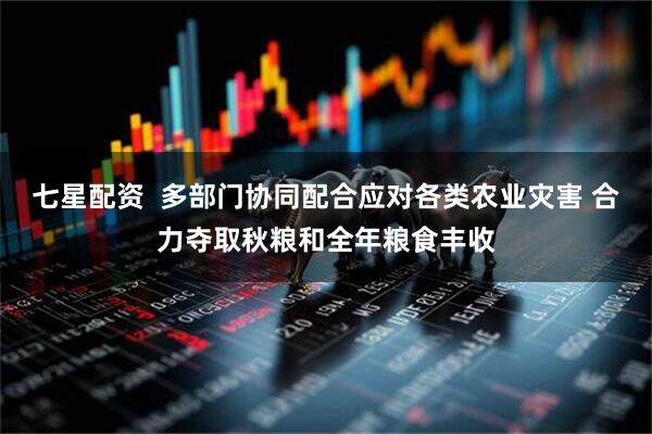 七星配资  多部门协同配合应对各类农业灾害 合力夺取秋粮和全年粮食丰收