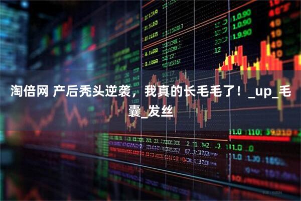 淘倍网 产后秃头逆袭，我真的长毛毛了！_up_毛囊_发丝